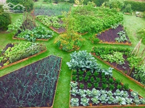 Cần Bán Lô Đất Nghỉ Dưỡng Gần chợ Lộc Quảng chỉ 2 tỉ 1 nền 500m2 , 100m TC