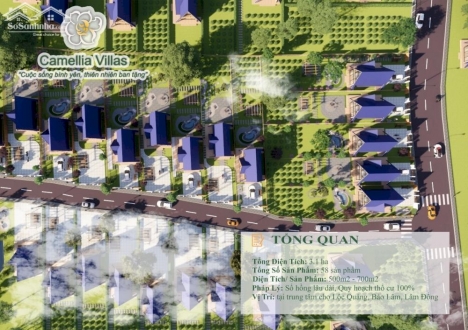 Bán Nhà Phố Biệt Thự Shophouse Camellia Chỉ Từ 4,5Tr/m2, View Hồ Tảo Hồng, Suối Mát Mẻ Quanh Năm
