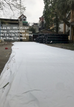 Chuyên Cung Cấp Giấy Dầu - Hàng Tốt Trên Thị Trường