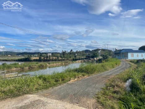 Chính chủ cần tiền bán gấp lô đất  5,57x49,76 tổng dt 245m2  có 100m đất thổ cư