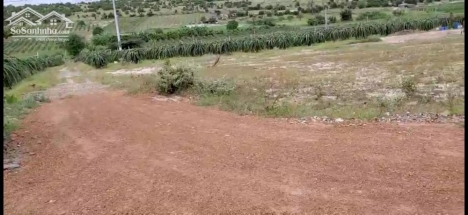 Bán 4169m2 đất nền bắc bình cách đường liên huyện ra sân bay phan thiết 120m chỉ 646tr Lh 0938677909