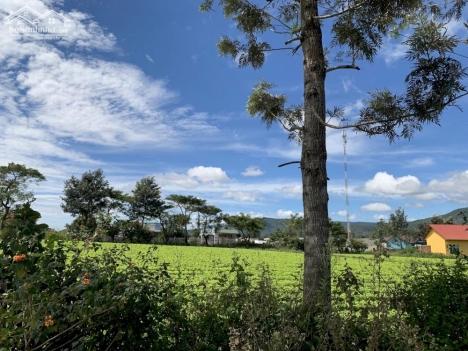 Cơ hội đầu tư có 1 0 2 cho các nhà đầu tư chỉ với 620tr tại Đơn Dương