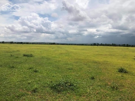 Bán 5116m2 đất nền hồng thái, bắc bình gần đường liên huyện ra sân bay phan thiết chỉ 639tr Lh 09386