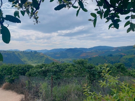 Kẹt tiền cần bán gấp lô Đất đẹp ngay chân đèo Tà Nung, Xã Tà Nung, Đà Lạt.