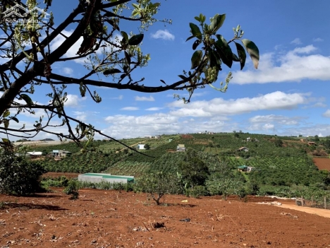 Đất nghỉ dưỡng, view đồi núi thoáng mát, ven Đà Lạt chỉ 950tr trọn gói