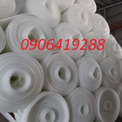 CẦN MUA MÚT XỐP PE FOAM DÀY 2MM