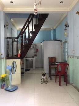 Cho Thuê Nhà Nguyên Căn Trần Xuân Soạn, P. Tân Thuận Tây, Quận 7. Giá 5 Triệu.
