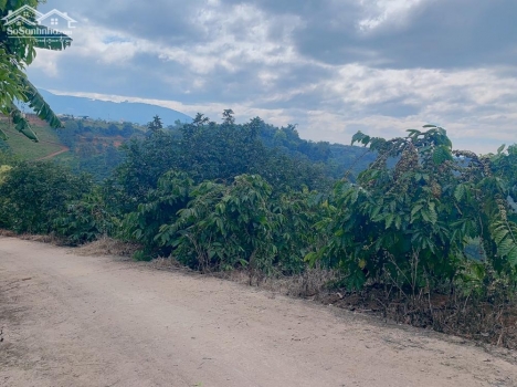 Kẹt tiền cần bán gấp lô Đất đẹp ngay chân đèo Tà Nung, Xã Tà Nung, Đà Lạt.