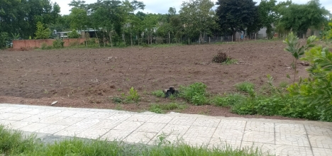 Cần Tìm Người Có Tài Chính Trên 500tr Sang Nhượng Lại Mảnh Đất ( 12x30 S.H.R ) Thị Trấn Tân Phú Đối