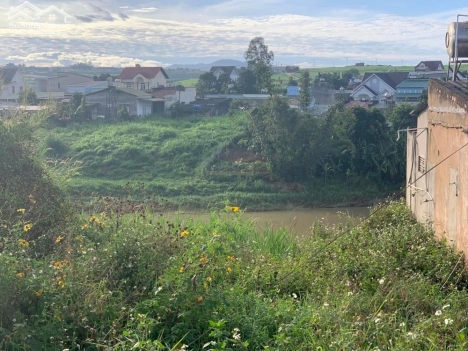 Cách đường nhựa bồng lai 100m    Tổng dt 385m2 có 321m2 thổ cư