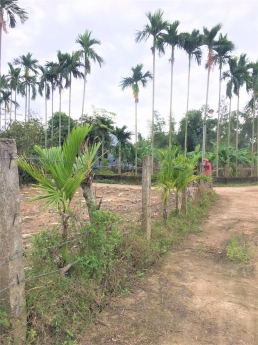 2 lô liền kề KDC ven Đà Nẵng