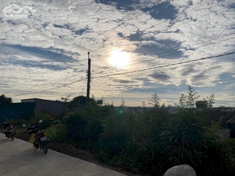 Cách đường nhựa bồng lai 100m    Tổng dt 385m2 có 321m2 thổ cư