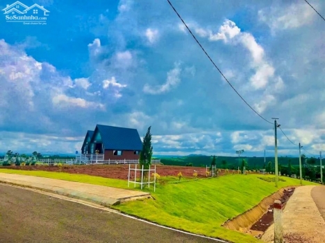 Đất nghỉ dưỡng Đambri, Bảo Lộc siêu đẹp với view đồi núi hùng vĩ bát ngát