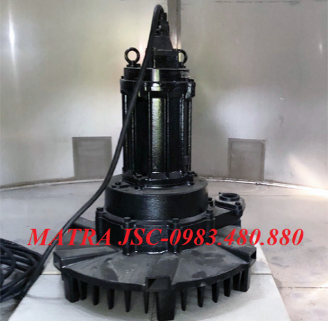 Call/Zalo: 0983.480.880 *Báo giá máy sục khí chìm đa tia Tsurumi 32TRN2.75*