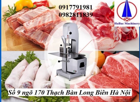 Máy cưa xương JG 250 inox hoàn toàn