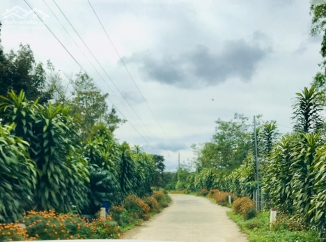 CHÍNH CHỦ CẦN BÁN LÔ ĐẤT THÍCH HỢP CHO NGHỈ DƯỠNG NGAY BẢO LÂM - LÂM ĐỒNG