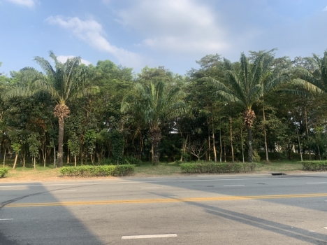 Cần bán gấp căn nhà 300m2 mặt tiền, đường 42m trong KCN Mỹ Phước 2