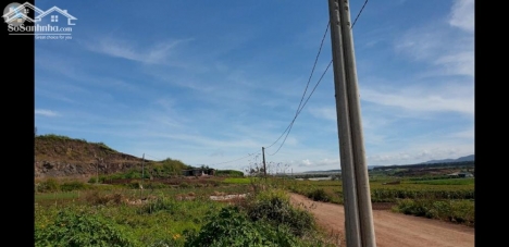 Bán gấp 6x20m sẵn thổ cư giá 98.5tr/ngang ngay Đạ Ròn - Đơn Dương - Lâm Đồng