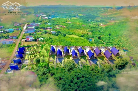 Bán lô đất Camellia Villas 500m2 Giá F0, Nhà Đẹp, View Hồ Giá Cực Rẻ