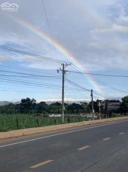 14m ngang 2 mặt tiền đường betong cách DT 724 chỉ 50m giá 1,750 tỷ