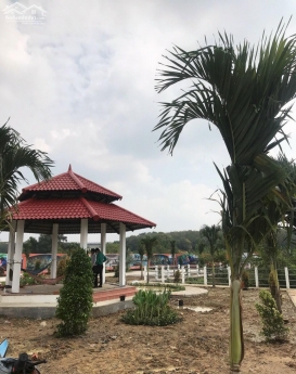 ĐẤT FULL THỔ CẦN BÁN VỀ QUÊ ĂN TẾT