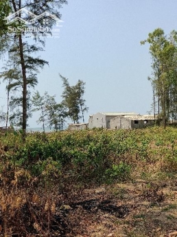 Đất biển Quảng Thái