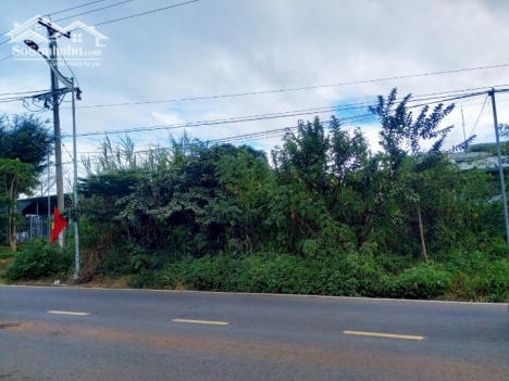 Bán 10m mặt tiền đường Thống Nhất, Đức Trọng