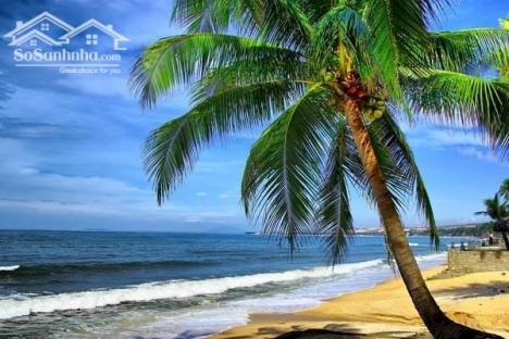Bán đất thổ vườn biển mũi né mặt tiền đường lạc long quân gần novaworld phan thiết chỉ 14tr/m2 Lh 09