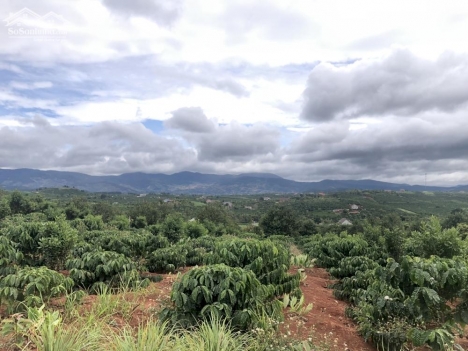 Bán đất nghỉ dưỡng hơn 1000m2, sổ hồng sẵn ven Đà Lạt giá 950 triệu