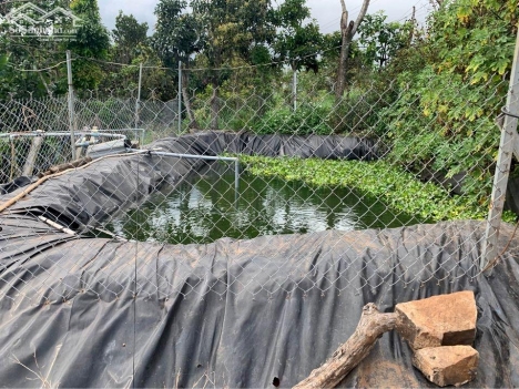 Đất Xã Pró- Huyện Đơn Dương- Tỉnh Lâm Đồng