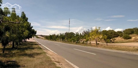 Đầu tư đất nền hoà thắng, bắc bình gần đường nhựa ĐT 716, quốc lộ 1A và đường liên huyện chỉ 125k/m2