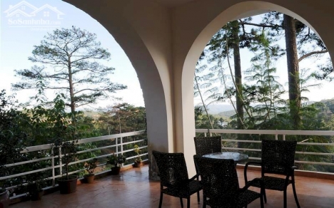 CẦN BÁN BIỆT THỰ SÂN VƯỜN VIEW CỰC ĐẸP ĐƯỜNG ĐẶNG THÁI THÂN PHƯỜNG 3, TRUNG TÂM THÀNH PHỐ