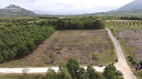 Bán nhanh đất thôn Bắc gần đường DT5 Ninh Tân Ninh Hòa gần cụm công nghiệp 758m2 giá 1tr6/m2.
