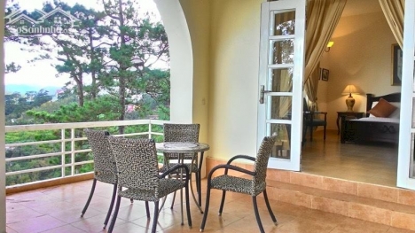 CẦN BÁN BIỆT THỰ SÂN VƯỜN VIEW CỰC ĐẸP ĐƯỜNG ĐẶNG THÁI THÂN PHƯỜNG 3, TRUNG TÂM THÀNH PHỐ