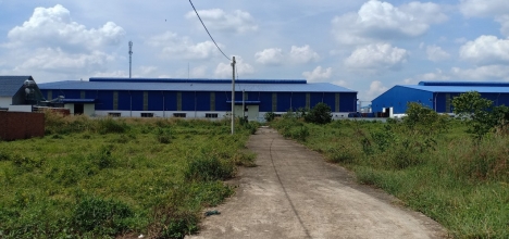 Cần Tìm Người Có Tài Chính Trên 500tr Sang Nhượng Lại Mảnh Đất ( 12x30 S.H.R ) Thị Trấn Tân Phú