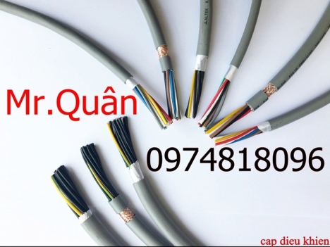 Cáp điều khiển lõi mềm cvv ; cvv-s