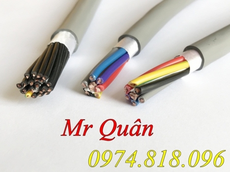 Cáp điều khiển lõi mềm cvv ; cvv-s