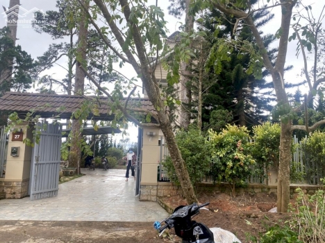 CẦN BÁN BIỆT THỰ VIEW ĐỒI THÔNG XANH MƯỚT ĐƯỜNG YÊN THẾ, TRUNG TÂM THÀNH PHỐ