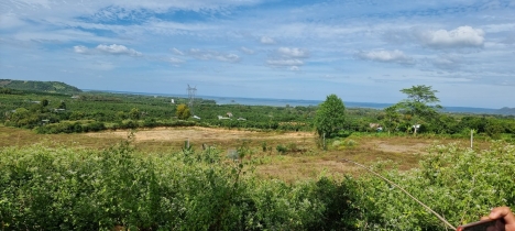 Tôi Cần Bán Đất View Hồ Trị An 3tỷ/Mẫu Ngay KCN Định Quán Giá Rẻ Nhất Khu Vực