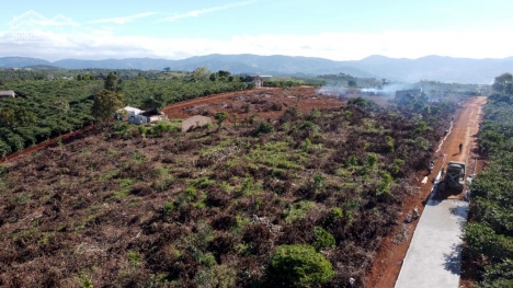 Bán đất View cao toàn cảnh phi tô (22x42) 1000m2 - Lâm Hà, Lâm Đồng