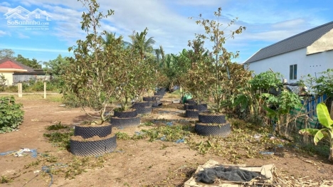 Bán 2600m2 đất vườn, giáp kênh tại thành phố Tân An, Long An. 4.5 tỷ