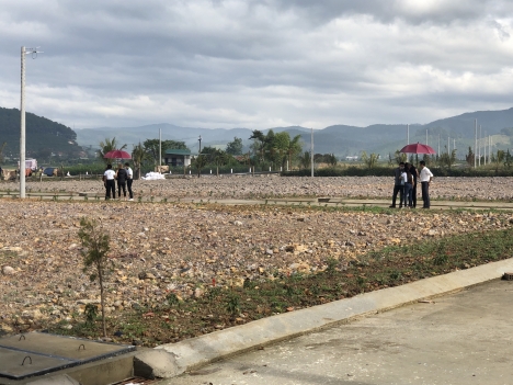 Đầu tư & kinh doanh sinh lời – Sống xanh, sống sôi động