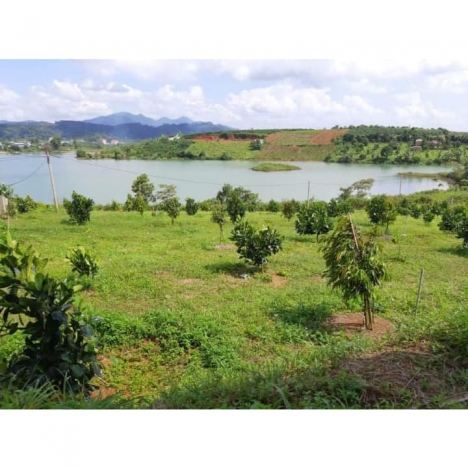 Đất cây ăn trái view + suối mát mẻ mơ mộng như Đà Lạt