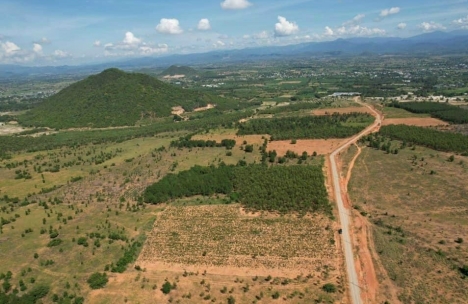 Đất Bình Tân Ngay Liên Huyện Cạnh Safari 3.300ha Rạng Đông Giá 120K/m2