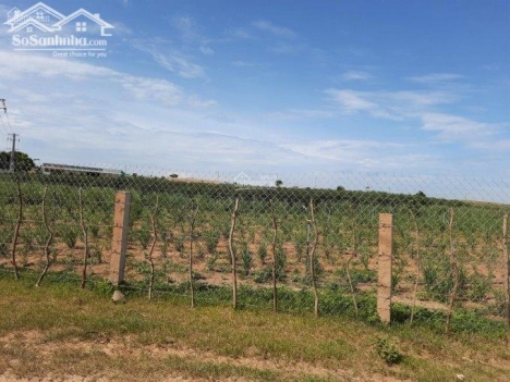 400 triệu sở hữu lô đất ngay sát KDC, gần QL1A, đường hiện hữu
