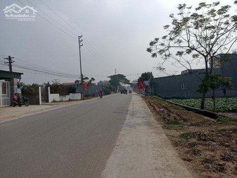 Đất trục xã Quảng Minh
