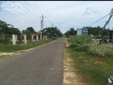 Bán gấp Đất MT đường Nhựa-Thuận Điền-Hàm Liêm-Hàm Thuận Bắc-156m2,83m2TC,gần bên QL28