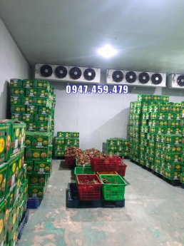 Thi công kho lạnh bảo quản thanh long tại Bình Thuận
