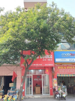 cho thuê nhà nguyên căn đường BẠCH ĐẰNG,quận BÌNH THẠNH