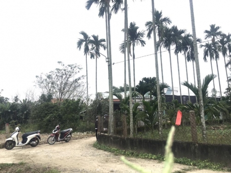 Lô góc mặt tiền đường bt 4m5 khu vực Điện Tiến